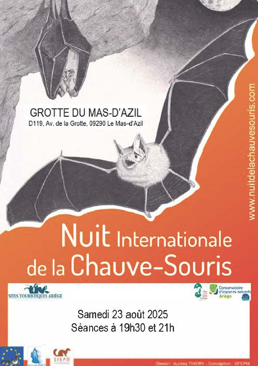 chauve souris 25.jpg