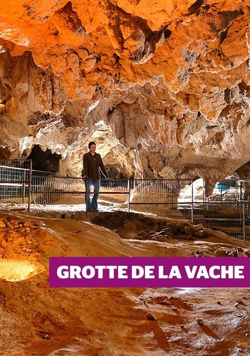 LaVache - Grande.jpeg