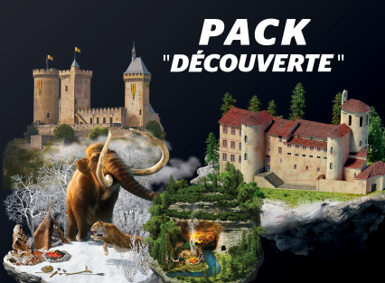 pack decouverte.png