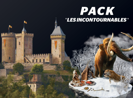 pack incontournables.png